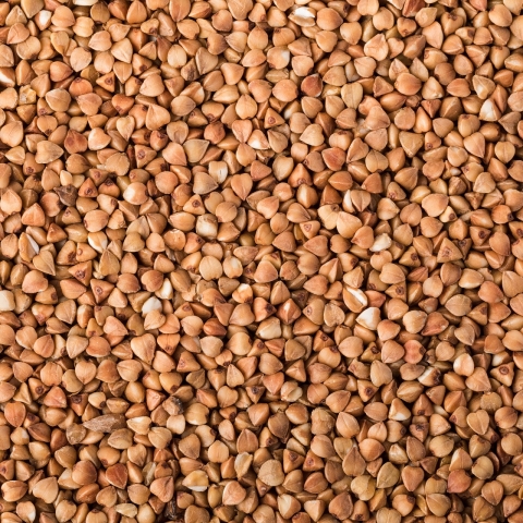 grano saraceno